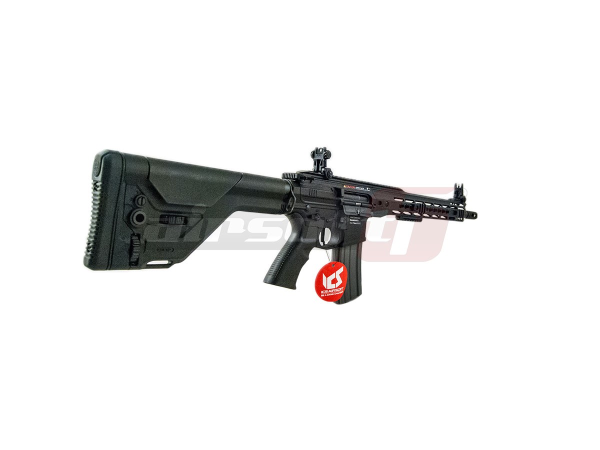 ICS M4 CXP MARS DMR 2