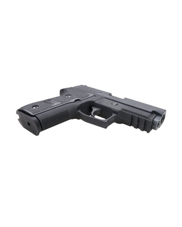 WE P229R 6